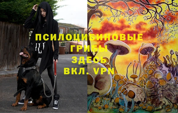 стафф Киреевск