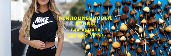 стафф Киреевск