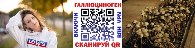 Галлюциногенные грибы прущие грибы  как найти наркотики  Краснозаводск 